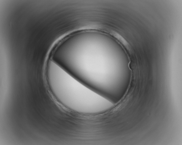 X0000114601072200910191049
