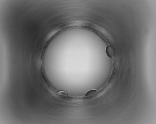 X0000114601073200910191049