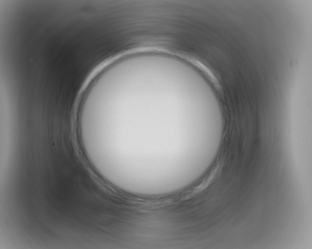 X0000114601077200910191049