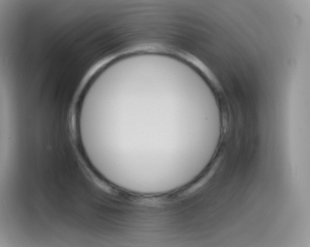 X0000114601078200910191049