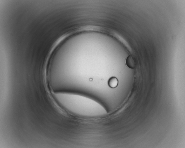 X0000114601082200910191049