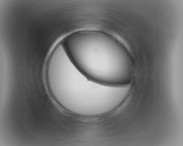 X0000114601085200910191049