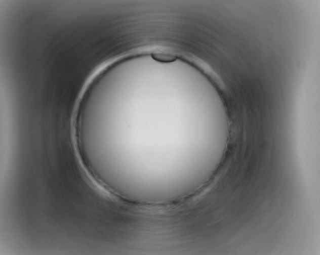 X0000114601086200910191049
