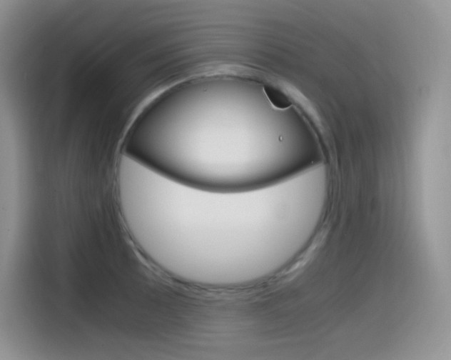 X0000114601089200910191049