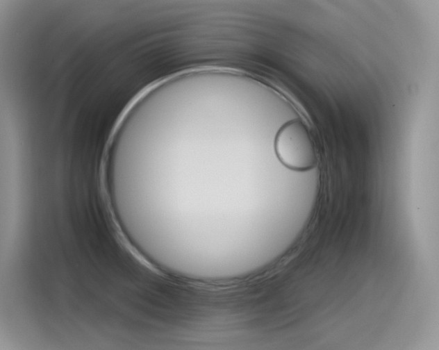 X0000114601092200910191049