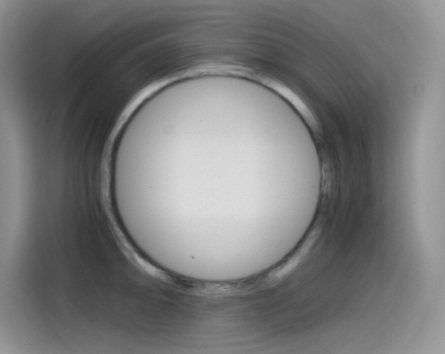X0000114601094200910191049