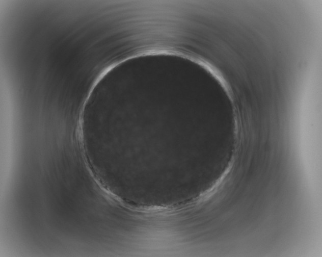 X0000114601097200910191049
