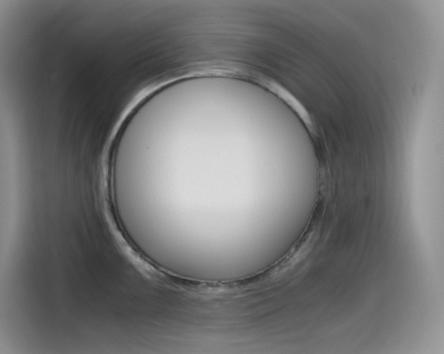 X0000114601099200910191049