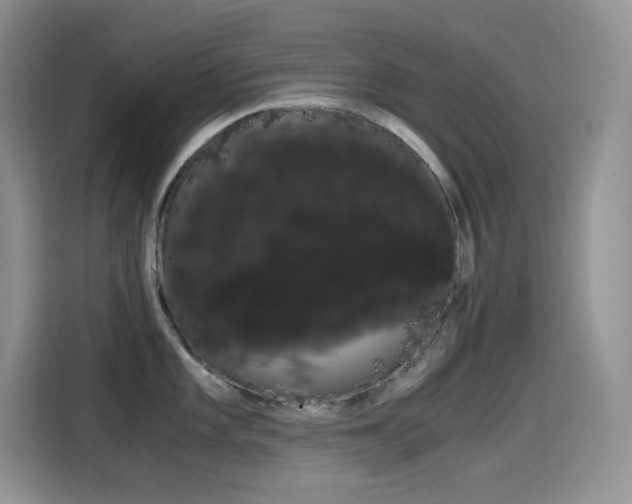X0000114601101200910191049