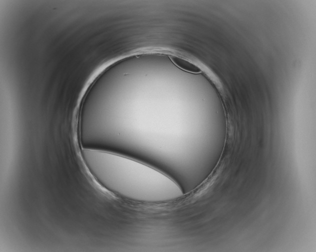 X0000114601102200910191049