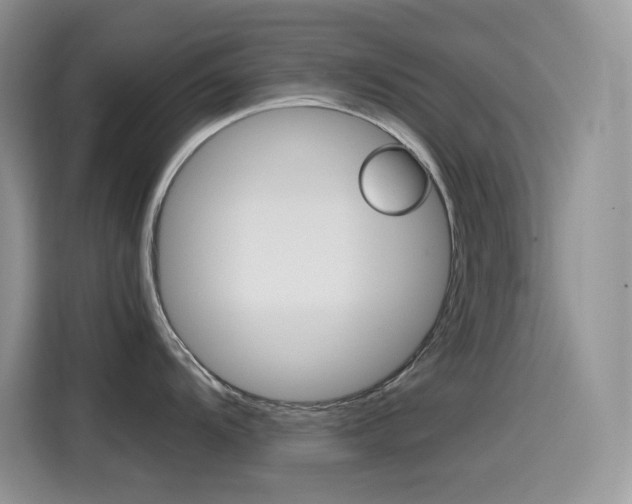 X0000114601104200910191049