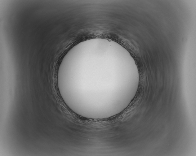 X0000114601105200910191048