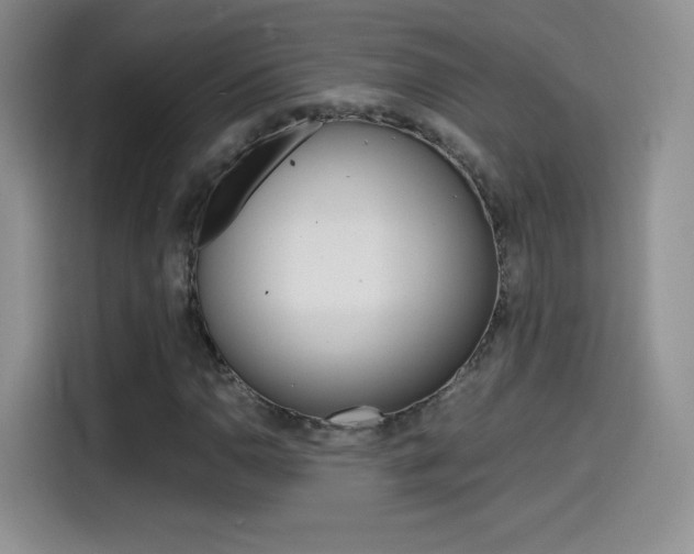 X0000114601110200910191048