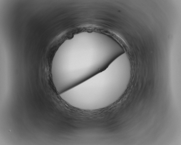 X0000114601111200910191048