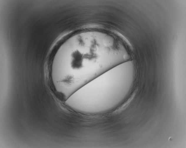 X0000114601117200910191048