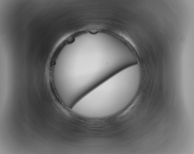 X0000114601119200910191048