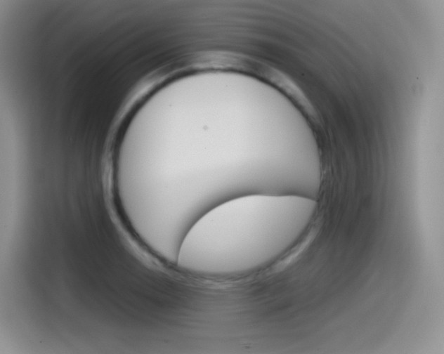 X0000114601130200910191049