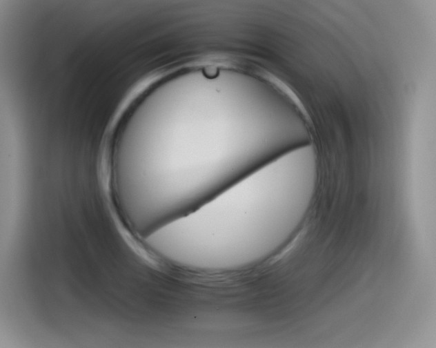 X0000114601131200910191049