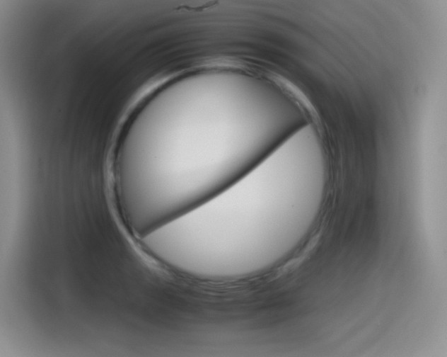 X0000114601133200910191049