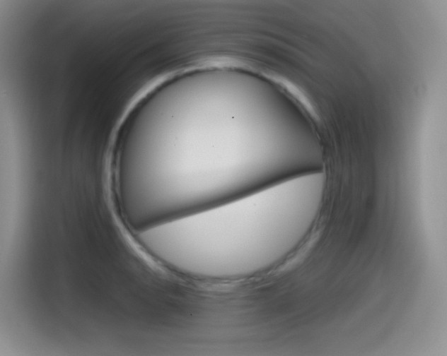 X0000114601134200910191049