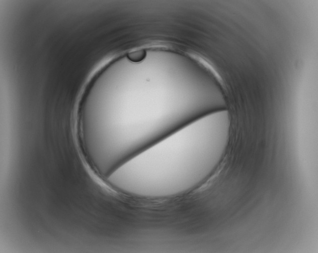 X0000114601135200910191049