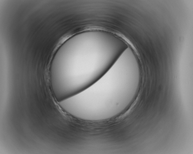 X0000114601145200910191049