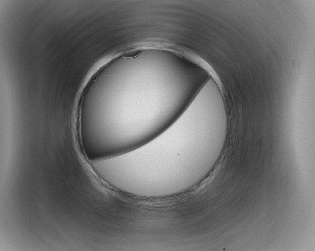 X0000114601146200910191049