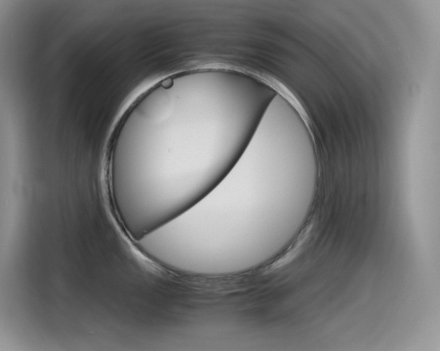 X0000114601149200910191049