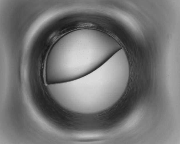 X0000114601151200910191049