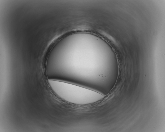 X0000114601160200910191048