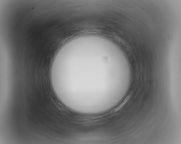 X0000114601161200910191048