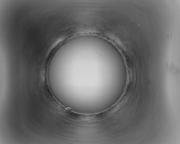 X0000114601165200910191048