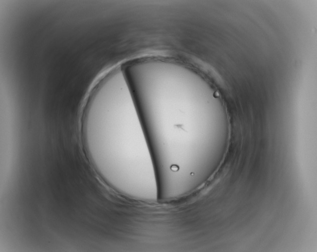 X0000114601168200910191048