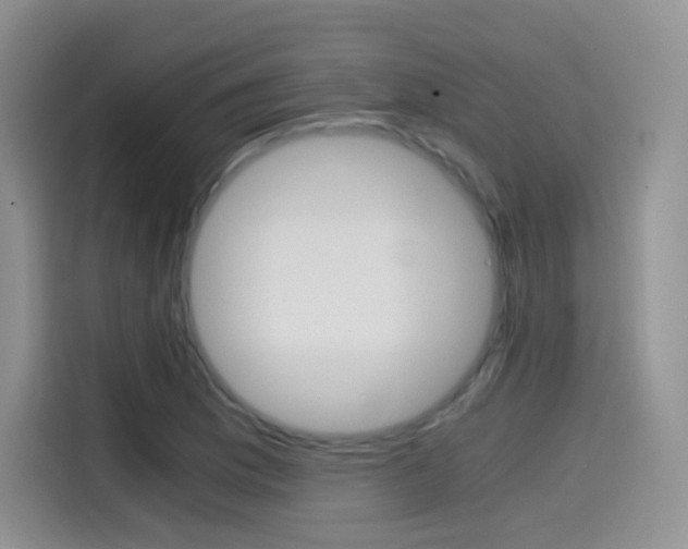 X0000114601169200910191048
