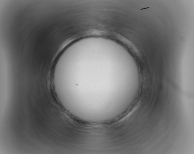 X0000114601170200910191048