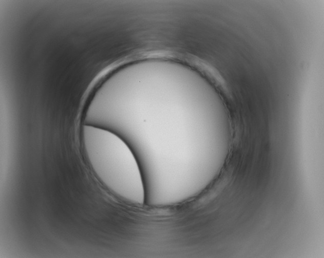 X0000114601174200910191048