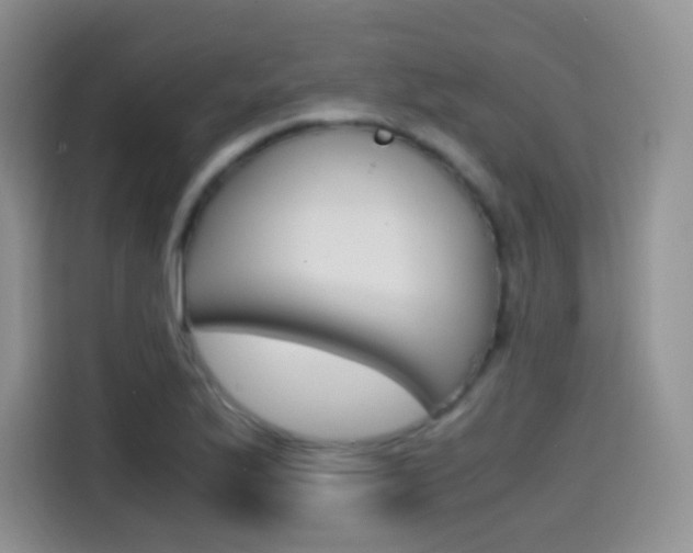 X0000114601175200910191048