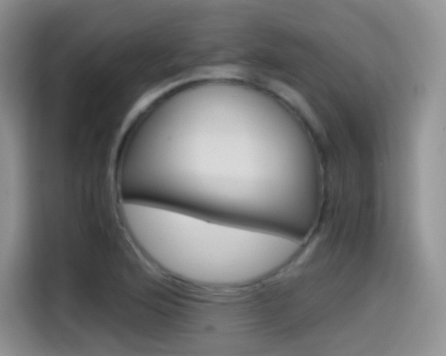 X0000114601176200910191048