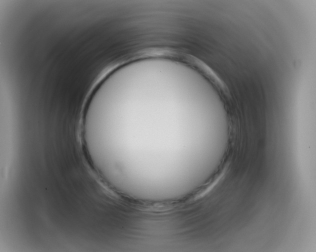 X0000114601178200910191048