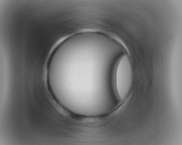 X0000114601179200910191048