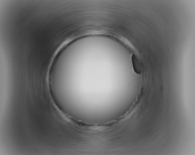 X0000114601181200910191048