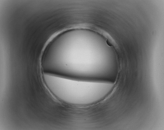 X0000114601184200910191048