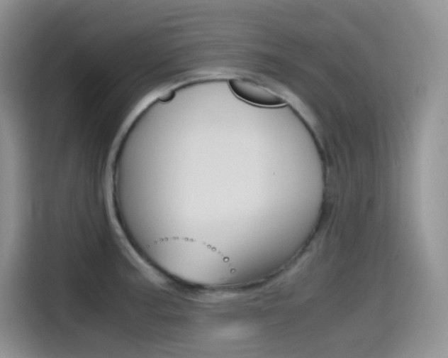 X0000114601187200910191048