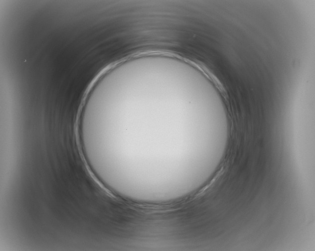X0000114601189200910191048