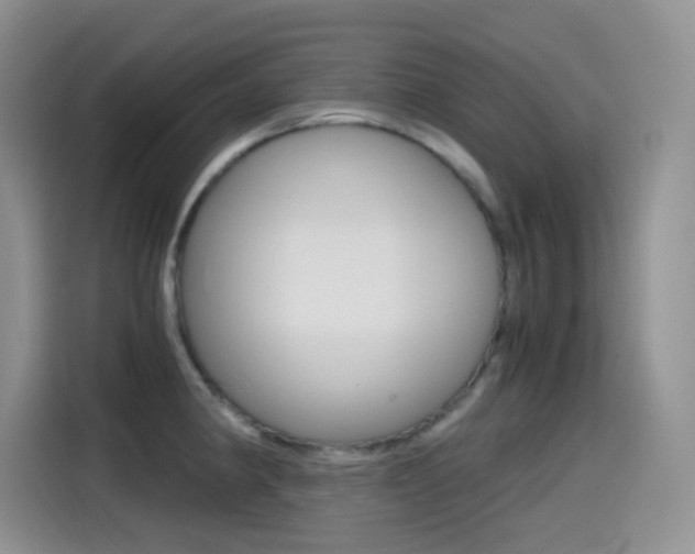 X0000114601190200910191048