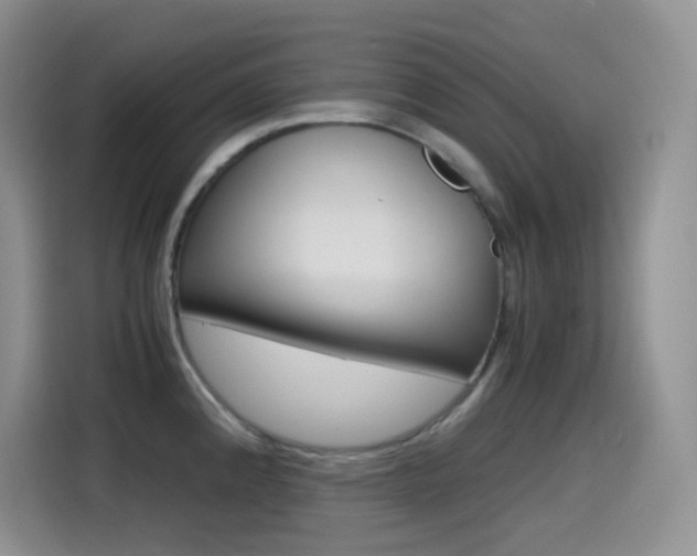 X0000114601192200910191048