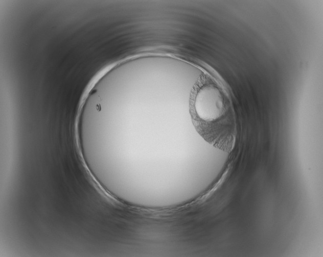 X0000114601196200910191048