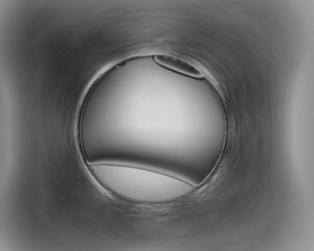 X0000114601197200910191048