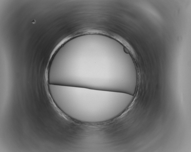 X0000114601198200910191048