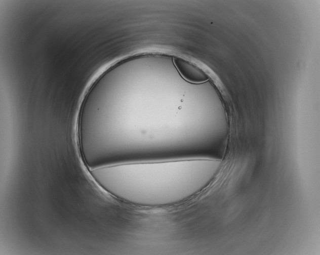X0000114601199200910191048